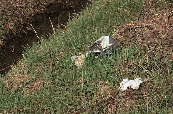 Plastikmüll am Bachlauf